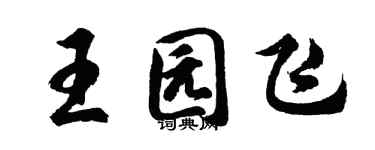 胡问遂王园飞行书个性签名怎么写