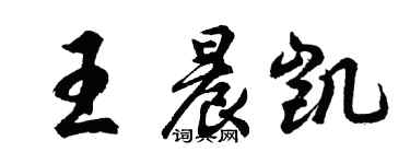胡问遂王晨凯行书个性签名怎么写