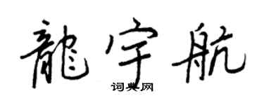 王正良龙宇航行书个性签名怎么写