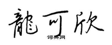 王正良龙可欣行书个性签名怎么写