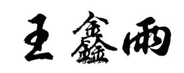 胡问遂王鑫雨行书个性签名怎么写