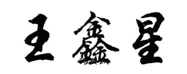 胡问遂王鑫星行书个性签名怎么写