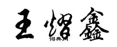 胡问遂王熠鑫行书个性签名怎么写
