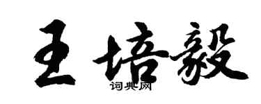 胡问遂王培毅行书个性签名怎么写
