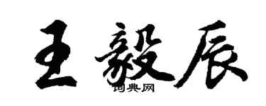 胡问遂王毅辰行书个性签名怎么写