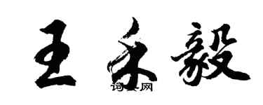 胡问遂王禾毅行书个性签名怎么写