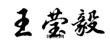 胡问遂王莹毅行书个性签名怎么写