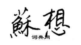 王正良苏想行书个性签名怎么写