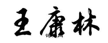 胡问遂王康林行书个性签名怎么写