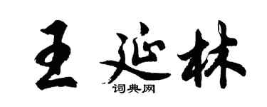 胡问遂王延林行书个性签名怎么写