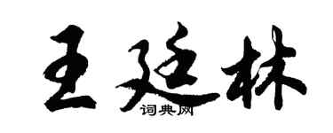 胡问遂王廷林行书个性签名怎么写