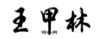 胡问遂王甲林行书个性签名怎么写