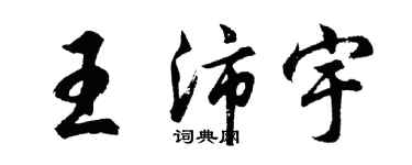 胡问遂王沛宇行书个性签名怎么写
