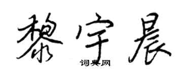 王正良黎宇晨行书个性签名怎么写
