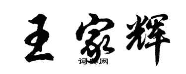 胡问遂王家辉行书个性签名怎么写