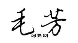 王正良毛芳行书个性签名怎么写
