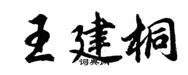 胡问遂王建桐行书个性签名怎么写