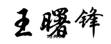 胡问遂王曙锋行书个性签名怎么写