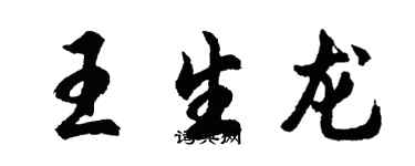 胡问遂王生龙行书个性签名怎么写