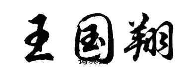胡问遂王国翔行书个性签名怎么写