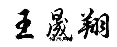 胡问遂王晟翔行书个性签名怎么写