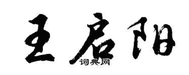胡问遂王启阳行书个性签名怎么写