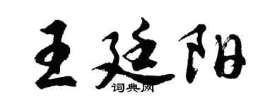 胡问遂王廷阳行书个性签名怎么写