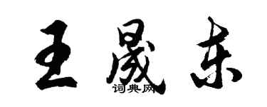 胡问遂王晟东行书个性签名怎么写