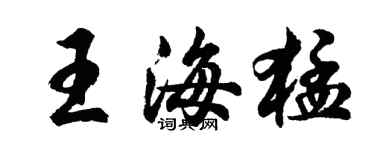 胡问遂王海猛行书个性签名怎么写