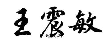 胡问遂王震敏行书个性签名怎么写