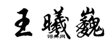 胡问遂王曦巍行书个性签名怎么写