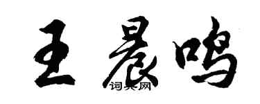 胡问遂王晨鸣行书个性签名怎么写