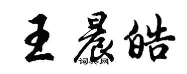 胡问遂王晨皓行书个性签名怎么写