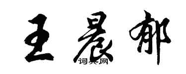 胡问遂王晨郁行书个性签名怎么写