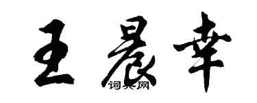 胡问遂王晨幸行书个性签名怎么写