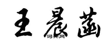 胡问遂王晨菡行书个性签名怎么写