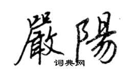 王正良严阳行书个性签名怎么写