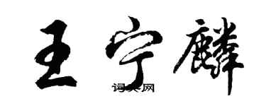 胡问遂王宁麟行书个性签名怎么写