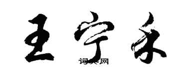 胡问遂王宁禾行书个性签名怎么写