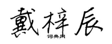 王正良戴梓辰行书个性签名怎么写