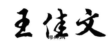 胡问遂王佳文行书个性签名怎么写