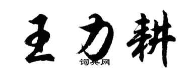 胡问遂王力耕行书个性签名怎么写