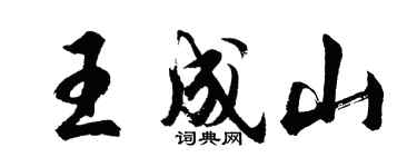 胡问遂王成山行书个性签名怎么写