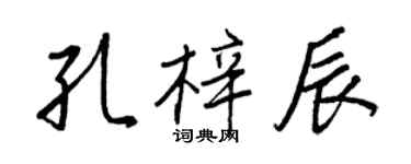 王正良孔梓辰行书个性签名怎么写