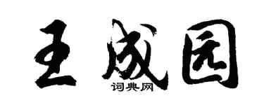 胡问遂王成园行书个性签名怎么写