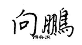 王正良向鹏行书个性签名怎么写