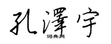 王正良孔泽宇行书个性签名怎么写