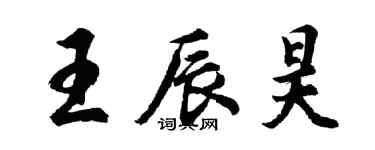 胡问遂王辰昊行书个性签名怎么写