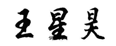 胡问遂王星昊行书个性签名怎么写