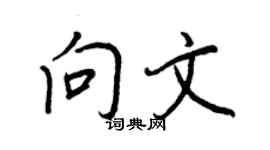 王正良向文行书个性签名怎么写